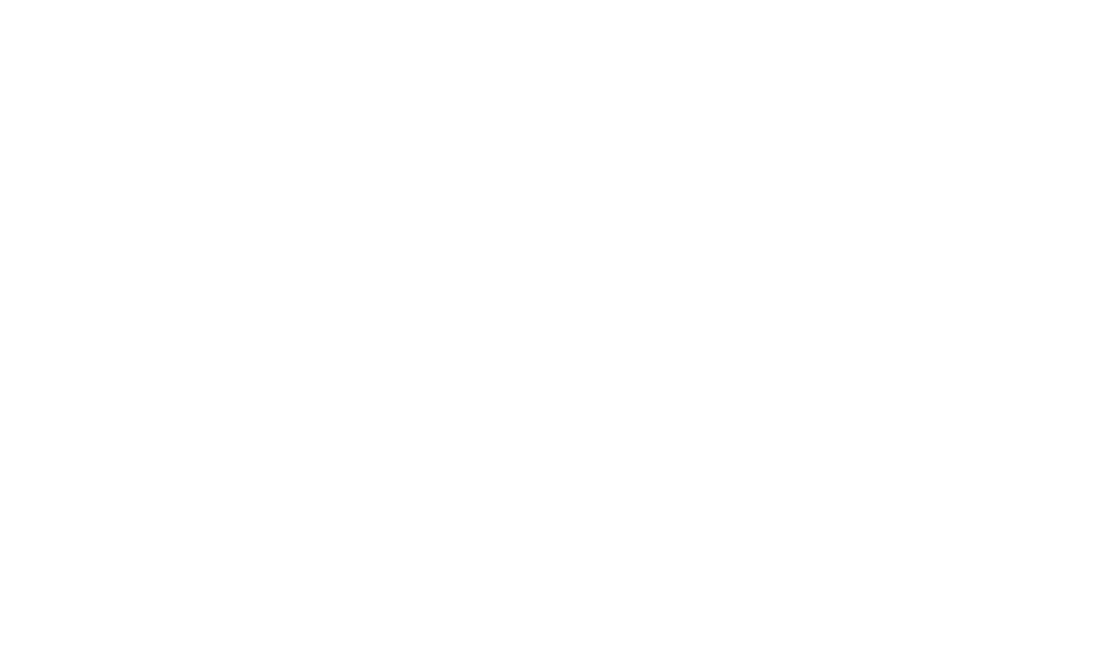 partner-11