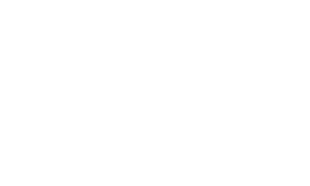 partner-3