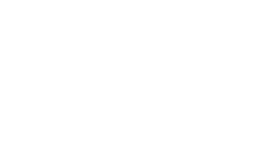 partner-4